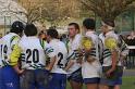 Rugby 207